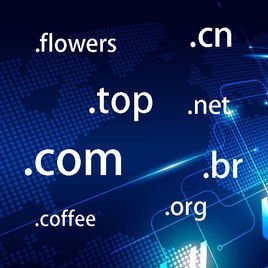 工信微报科普域名：引导企业重视域名这一战略资源